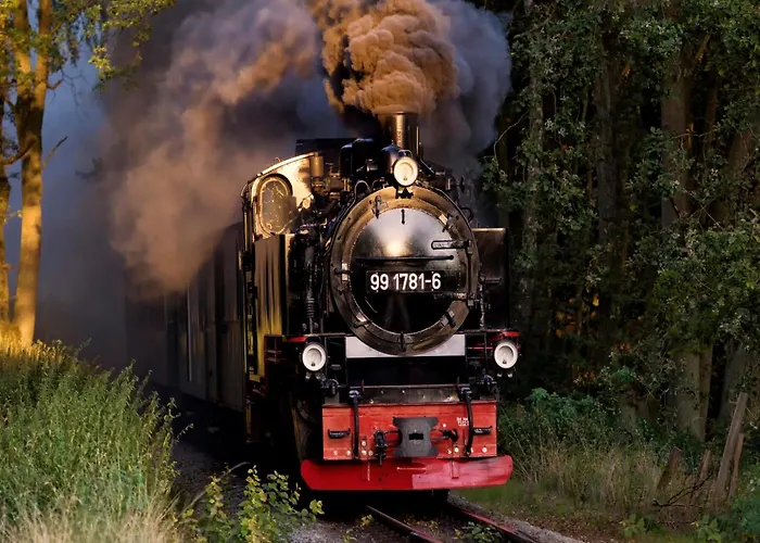 Sturmmoewe Sellin (Rugen)