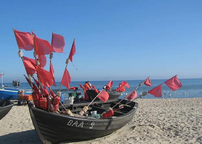 Sturmmoewe * Sellin (Rugen)